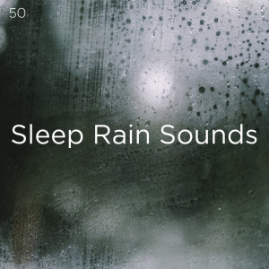 Dengarkan 环境声音 lagu dari Rain Sounds dengan lirik