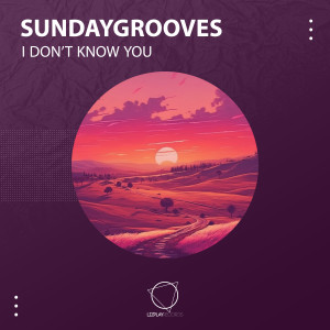 ดาวน์โหลดและฟังเพลง I Don't Know You พร้อมเนื้อเพลงจาก SundayGrooves