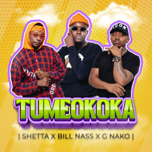 Album Tumeokoka from Shetta