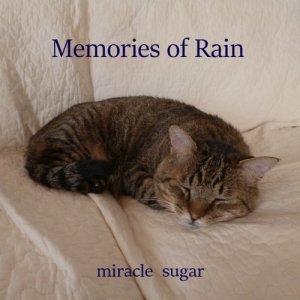 ดาวน์โหลดและฟังเพลง Like a heaven พร้อมเนื้อเพลงจาก miracle sugar