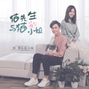 收聽張與桐（阿細）的貓先生與貓小姐歌詞歌曲