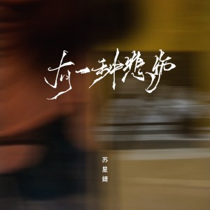 收聽蘇星婕的有一種悲傷（釋懷版） (完整版)歌詞歌曲