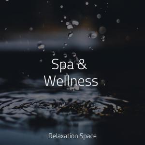 Spa & Wellness dari Relaxation Space