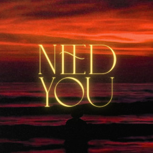 Album Need You from Ronak Gabbi