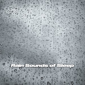 ดาวน์โหลดและฟังเพลง Medium Rain Storm พร้อมเนื้อเพลงจาก Sonics of Sleep