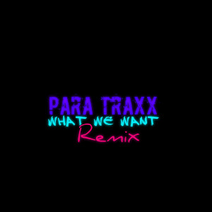 Listen to What We Want (Remix) song with lyrics from Para Traxx
