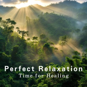 Album Perfect Relaxation - Time for Healing from Relaxing BGM Project