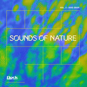 Album Sounds of Nature Vol. 2 - Dive Deep from Flock Together