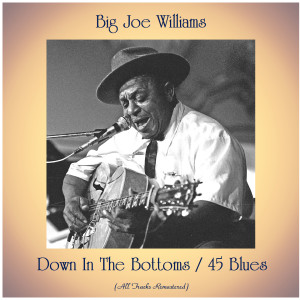 Down In The Bottoms / 45 Blues (All Tracks Remastered)