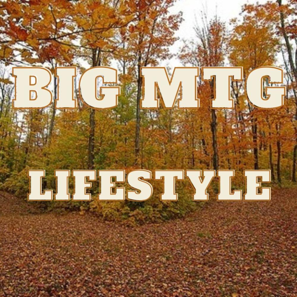 Lifestyle (Explicit)