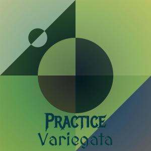 Various Artists的專輯Practice Variegata