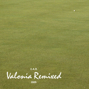อัลบัม Valonia Remixed ศิลปิน 