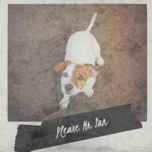 Various的专辑Please Mr Sun