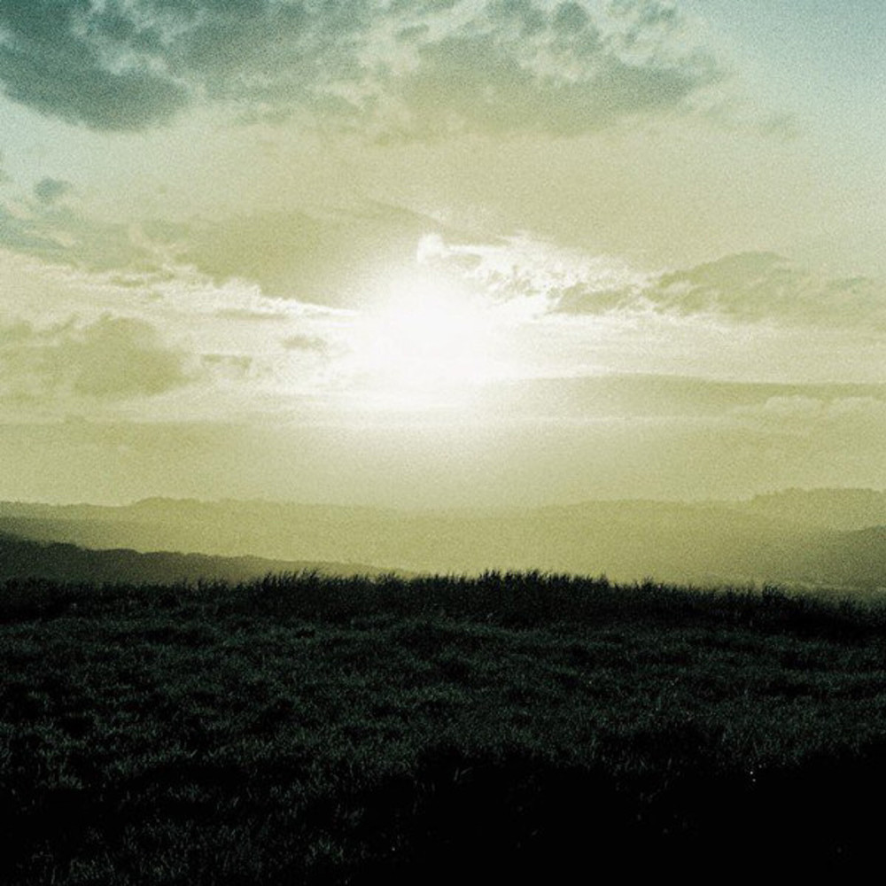 The Upper Reaches (Ripped Away)