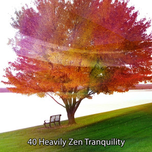 40 Heavily Zen Tranquility