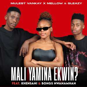 Album MALI YAMINA EKWIN? (feat. Khensani & Bongs Nwana Mhan) oleh Mulest vankay