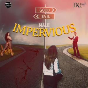 Malii的專輯Impervious