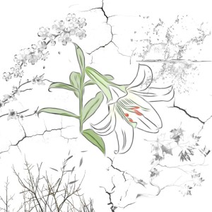 收聽Thehopend的野百合 (Explicit)歌詞歌曲