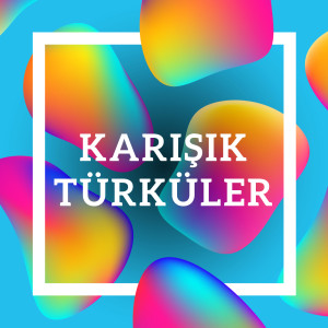 Album Karışık Türküler from Various