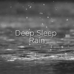 Listen to Deep Sleep Rain song with lyrics from Rain Sounds