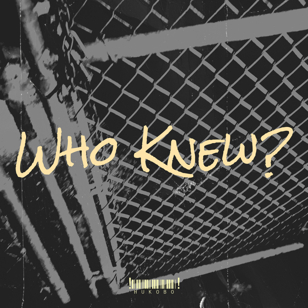 Who Knew? (Explicit)