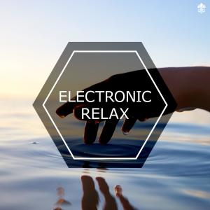 Listen to Som en Fågel(feat. Axel Bass) song with lyrics from Robin Hägerholt