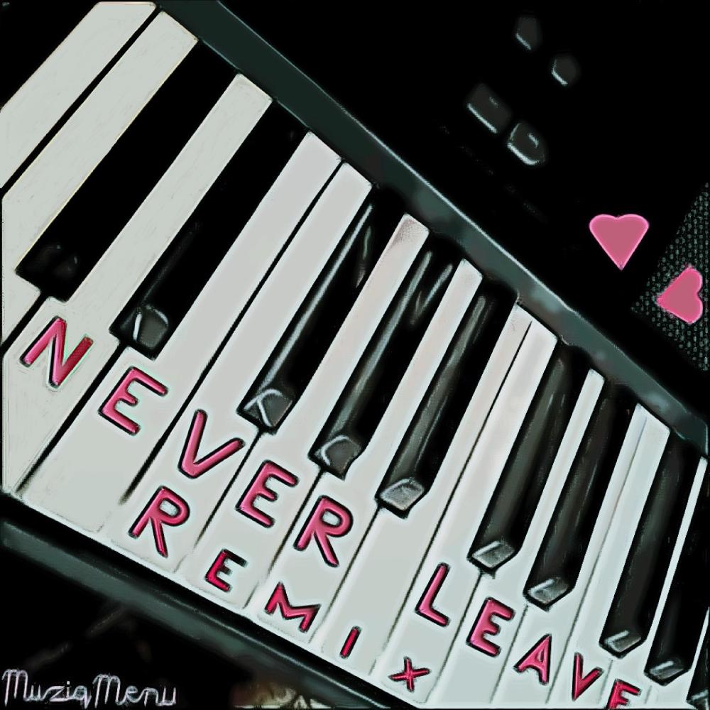 Never Leave (Moonlight Mix)