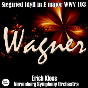 อัลบัม Wagner: Siegfried Idyll in E Major WWV 103 ศิลปิน Nüremberg Symphony Orchestra