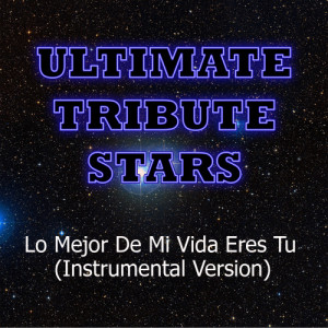 ดาวน์โหลดและฟังเพลง Ricky Martin - Lo Mejor De Mi Vida Eres Tu (Instrumental Version) พร้อมเนื้อเพลงจาก Ultimate Tribute Stars