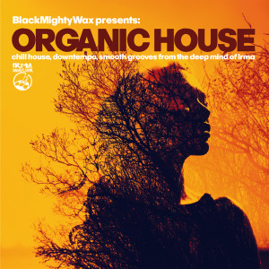 Black Mighty Wax的专辑Organic House (Chill House, Downtempo, Smooth Grooves From The Deep Mind of Irma)