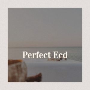 收听Pany Gulnar的Perfect Ecd歌词歌曲