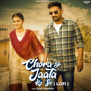 Album Chora Yo Jaata Ka Se (Lofi) from 