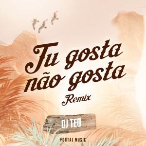 Album Tu Gosta Não Gosta (Remix) oleh MC GW