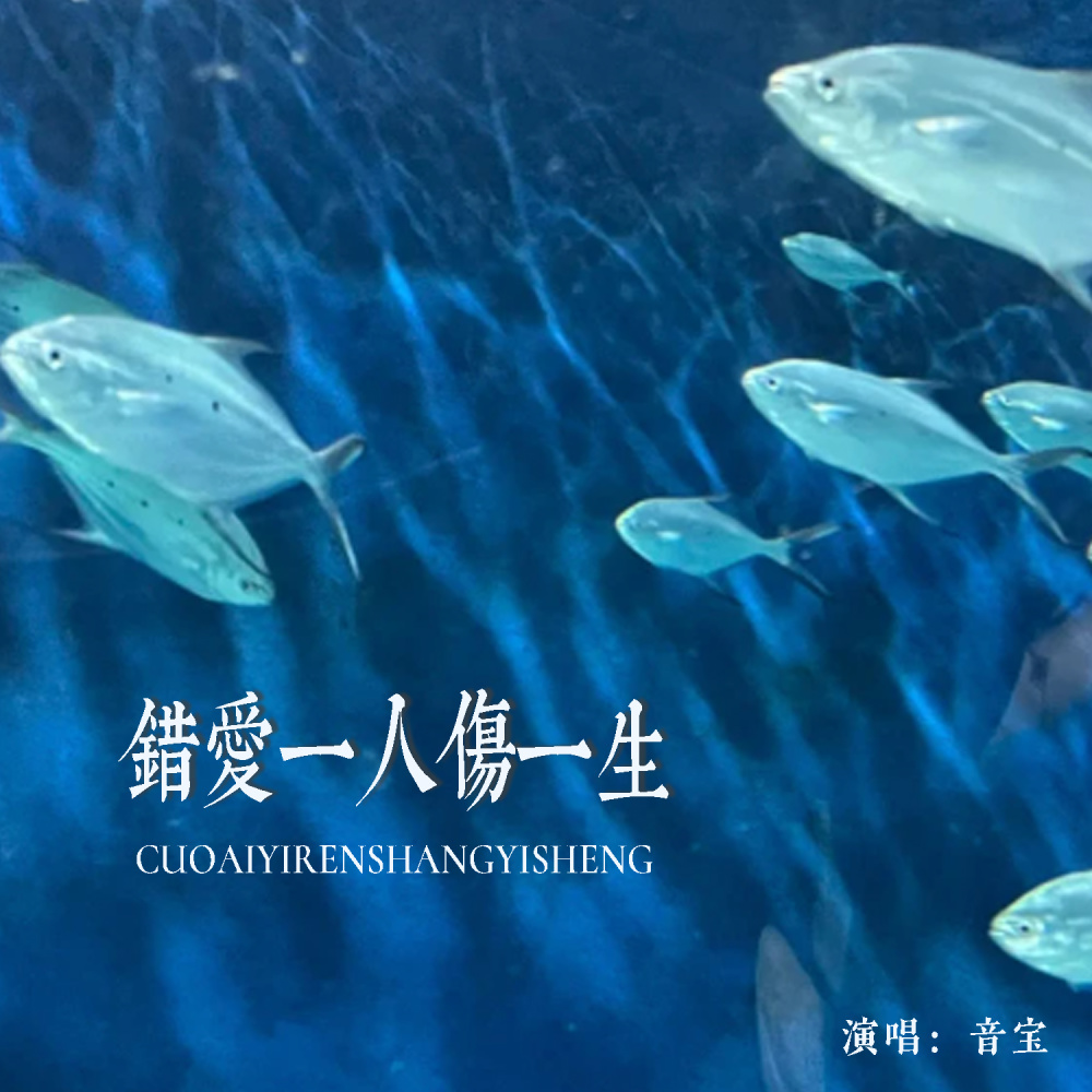 错爱一人伤一生 (伴奏)