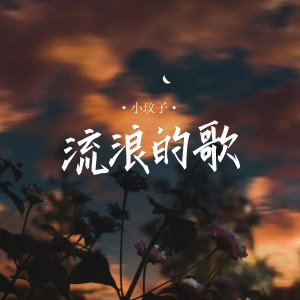 Album 流浪的歌 from 小玟子