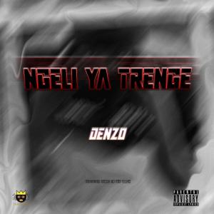 收聽Denzo on the Track的Niko Na (feat. Young Nello & Tk Lyon) (Explicit)歌詞歌曲