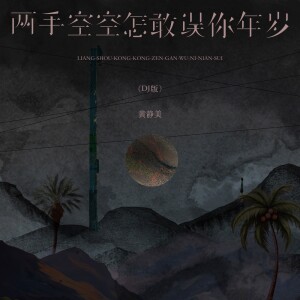 Album 两手空空怎敢误你年岁 (DJ版) from 黄静美