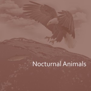 收听Frank Spello的Spectre歌词歌曲