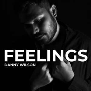 Album Feelings from Danny Wilson