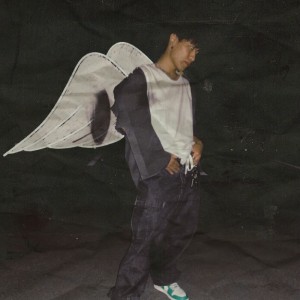 Album Flight from Tommy Bird