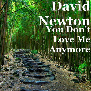 收听David Newton的You Don't Love Me Anymore歌词歌曲