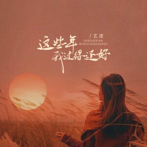 收聽小小楊玉瑩的這些年我過得還好 (DJ阿尼版)歌詞歌曲