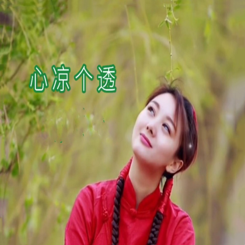 心凉个透 (伴奏)