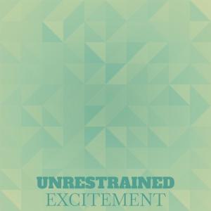 Album Unrestrained Excitement from Various