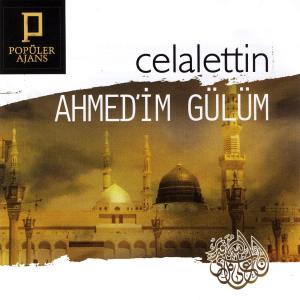 ดาวน์โหลดและฟังเพลง Yetiş İmdada พร้อมเนื้อเพลงจาก Celaleddin Ada