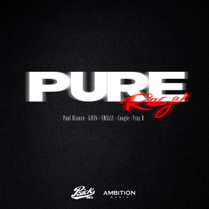 Album PURE RAGE (Remix) [Explicit] oleh 왈리