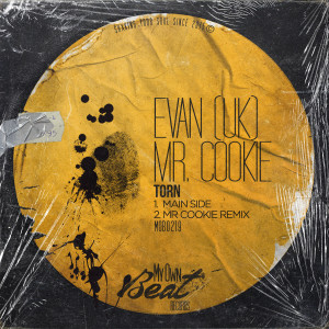 Listen to Torn (Main Side) song with lyrics from Evan (UK)