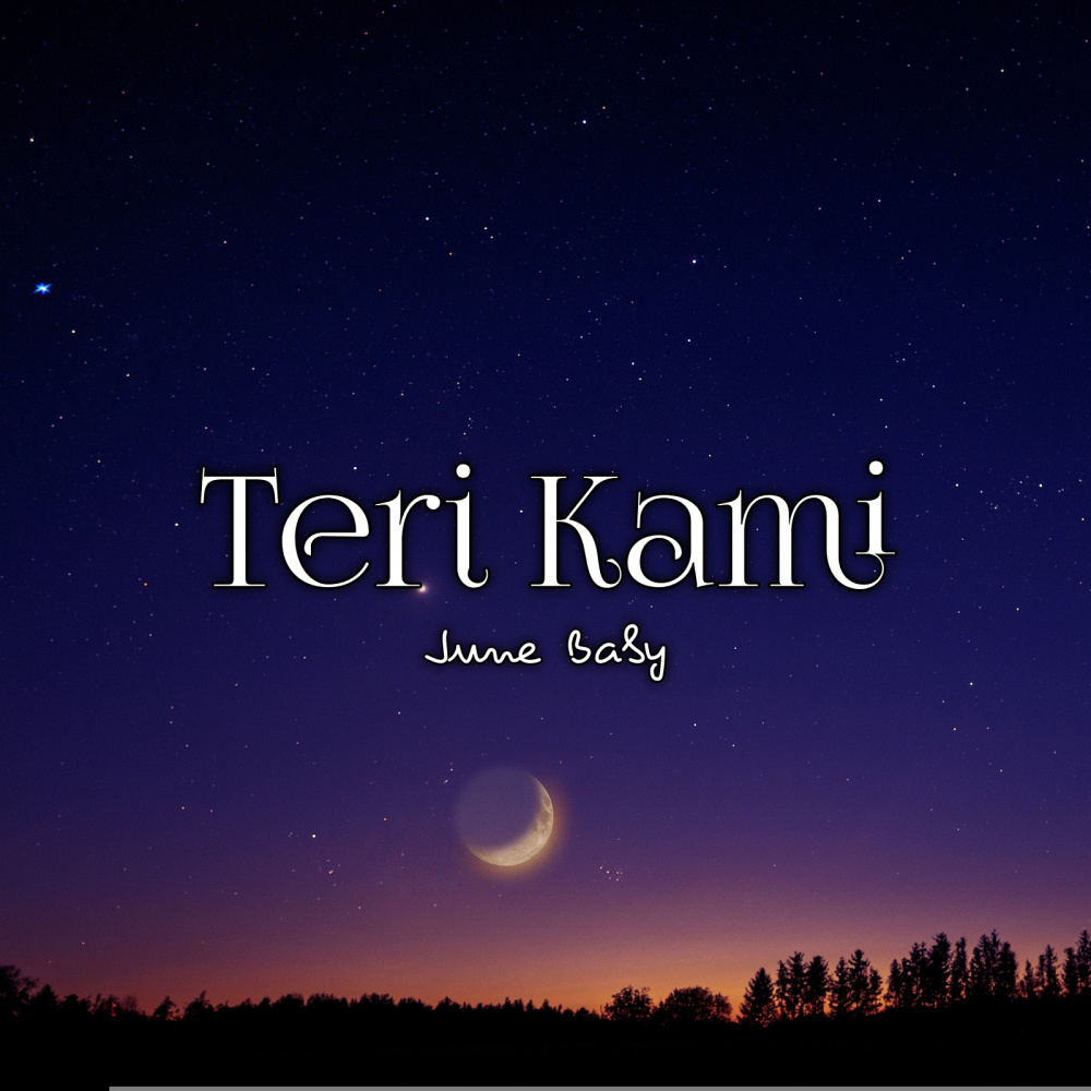 Teri Kami