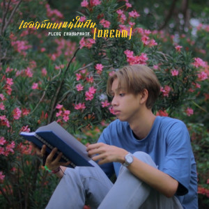 收聽Pleng ChayaphatK.的เธอกลับมาแค่ในฝัน (Dream)歌詞歌曲