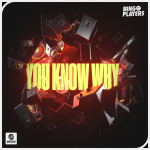Bingo Players的專輯You Know Why (Extended Mix)